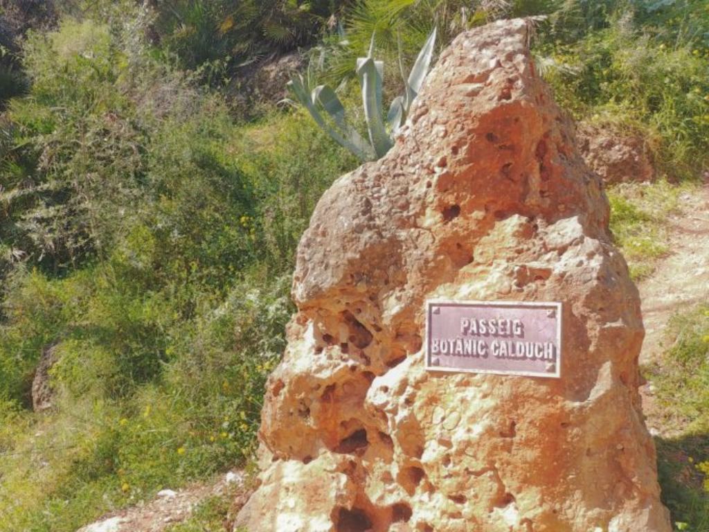 senda botanic calduch - castellon con niños